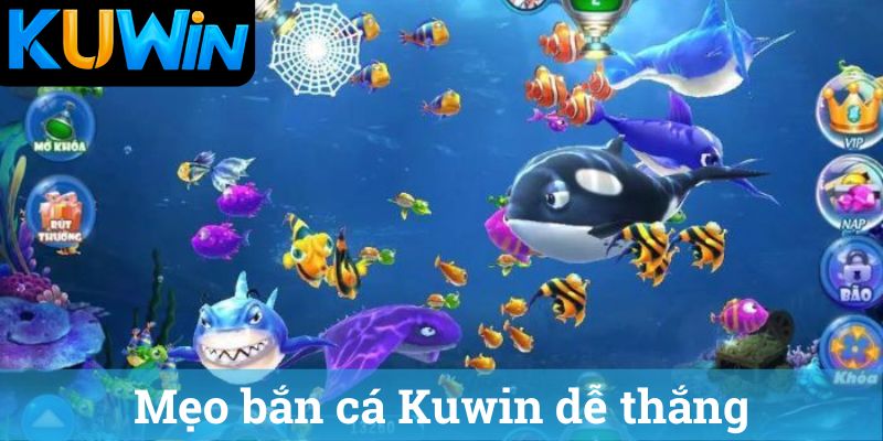 Meo ban ca Kuwin de thang Mẹo bắn cá Kuwin dễ thắng
